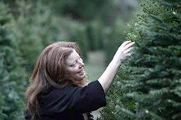natalie sare inspecting christmas trees